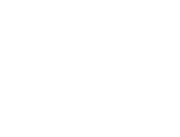 Naxos Logo